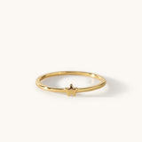 Anini Ring
