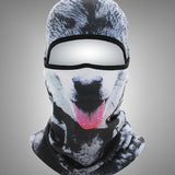 Animal Windproof Outdoor Sports Dog Balaclava Mask