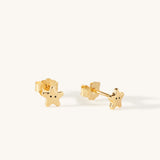 Hanalei Starfish Stud Earrings