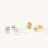 Hanalei Starfish Stud Earrings
