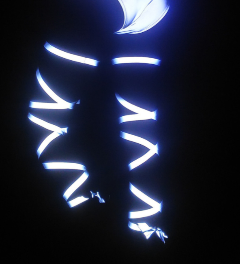 Women Rave Reflective Leg Wrap (Excluding Shorts)