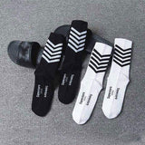 Moloch Moonlight Stripe Socks